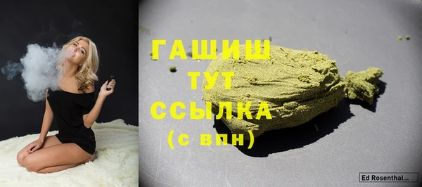 молекула духа Ельня