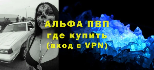 молекула духа Ельня