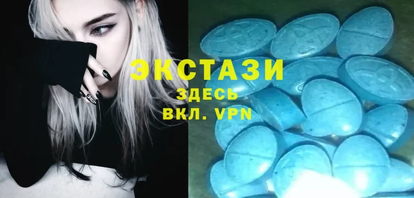 молекула духа Ельня
