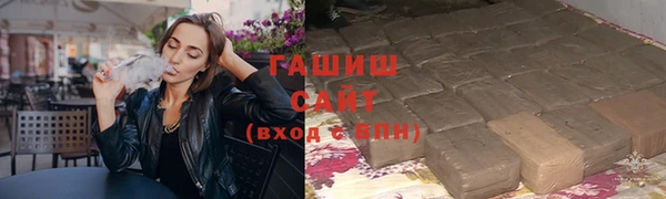 молекула духа Ельня