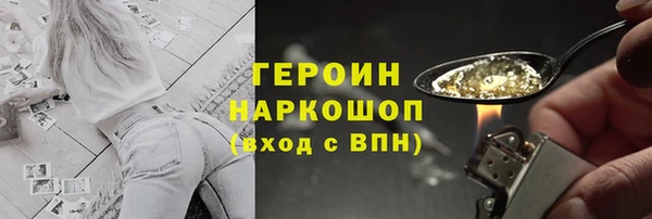 прущие грибы Заводоуковск