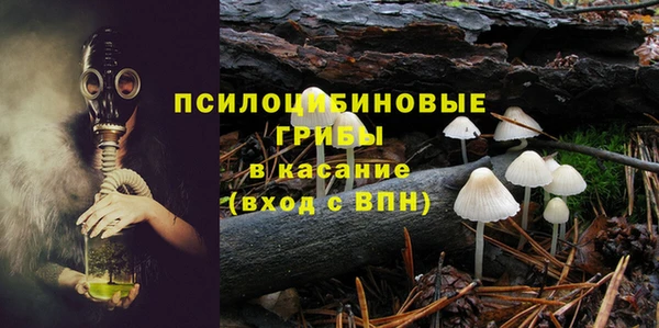 сатива Елизово