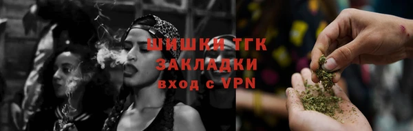 сатива Елизово