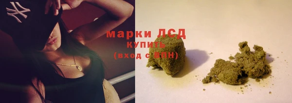 молекула духа Ельня