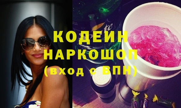 молекула духа Ельня