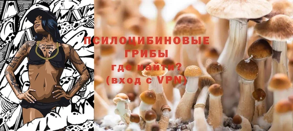 сатива Елизово
