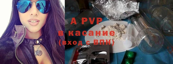 молекула духа Ельня
