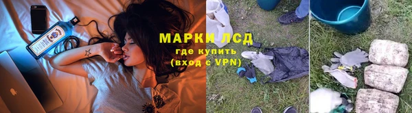 молекула духа Ельня